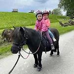 Seinz Tiny House Natururlaub Nyaraló