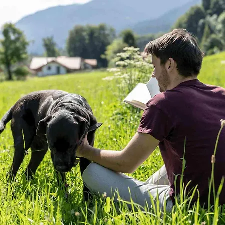 Seinz Tiny House Natururlaub Prázdninový dům