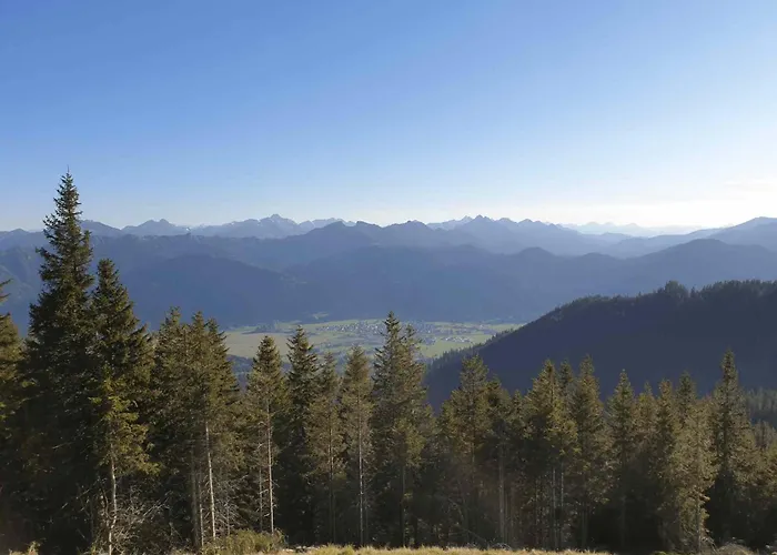 Seinz Tiny House Natururlaub *